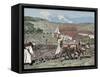 Monks Plowing the Land with Oxen, Germany (1872)-Prisma Archivo-Framed Stretched Canvas