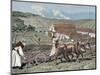 Monks Plowing the Land with Oxen, Germany (1872)-Prisma Archivo-Mounted Photographic Print