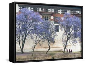 Monks, Punakha Dzong Palance, Bhutan-Dennis Kirkland-Framed Stretched Canvas