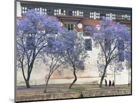 Monks, Punakha Dzong Palance, Bhutan-Dennis Kirkland-Mounted Photographic Print