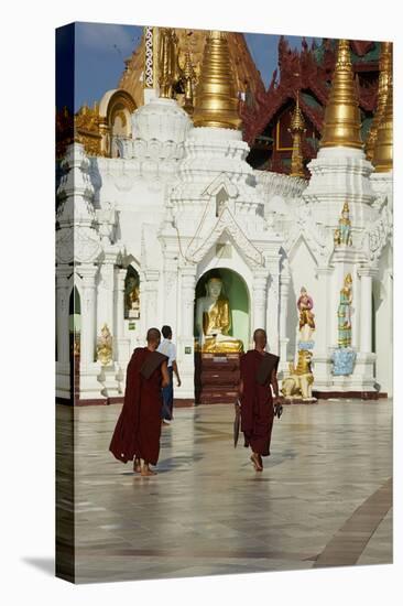 Monks, Shwedagon Paya, Yangon (Rangoon), Myanmar (Burma), Asia-Tuul-Stretched Canvas