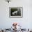 Monks Walk in Sera Temple, Lhasa, Tibet, China-Keren Su-Framed Photographic Print displayed on a wall