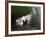 Monks Walk in Sera Temple, Lhasa, Tibet, China-Keren Su-Framed Photographic Print