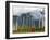 Monks with Praying Flags, Phobjikha Valley, Gangtey Village, Bhutan-Keren Su-Framed Photographic Print