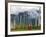 Monks with Praying Flags, Phobjikha Valley, Gangtey Village, Bhutan-Keren Su-Framed Photographic Print