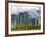 Monks with Praying Flags, Phobjikha Valley, Gangtey Village, Bhutan-Keren Su-Framed Photographic Print