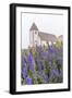 Monkshood (Aconitum) Flowers-Michael Nolan-Framed Photographic Print