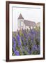 Monkshood (Aconitum) Flowers-Michael Nolan-Framed Photographic Print