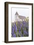 Monkshood (Aconitum) Flowers-Michael Nolan-Framed Photographic Print