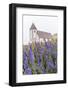 Monkshood (Aconitum) Flowers-Michael Nolan-Framed Photographic Print