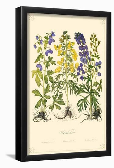 Monkshood Flowers-null-Framed Poster