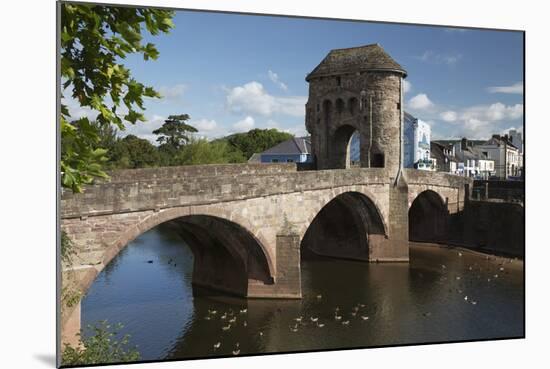 Monnow Bridge and Gate over the River Monnow, Monmouth, Monmouthshire, Wales, UK-Stuart Black-Mounted Photographic Print