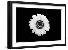Mono Flora-John Gusky-Framed Photographic Print