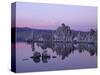 Mono Lake, a Large, Shallow Saline Soda Lake in Mono County, California-Carol Highsmith-Stretched Canvas
