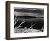 Mono Lake, California, 1955-Brett Weston-Framed Photographic Print