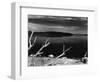 Mono Lake, California, 1955-Brett Weston-Framed Photographic Print