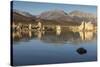 Mono Lake, California, United States of America, North America-Jean Brooks-Stretched Canvas
