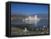 Mono Lake, California-Carol Highsmith-Framed Stretched Canvas