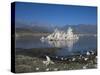 Mono Lake, California-Carol Highsmith-Stretched Canvas