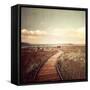 Mono Lake Pause-Philippe Sainte-Laudy-Framed Stretched Canvas