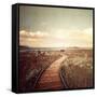 Mono Lake Pause-Philippe Sainte-Laudy-Framed Stretched Canvas