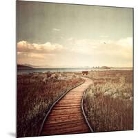 Mono Lake Pause-Philippe Sainte-Laudy-Mounted Photographic Print