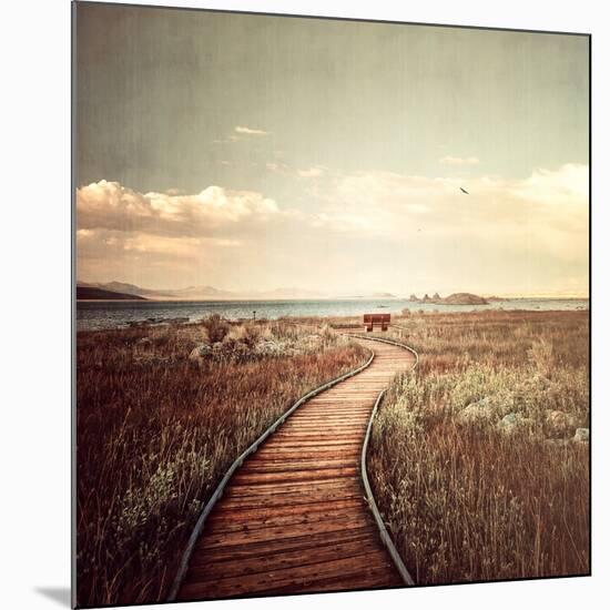 Mono Lake Pause-Philippe Sainte-Laudy-Mounted Photographic Print