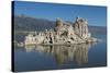 Mono Lake- Shallow Saline Soda Lake-Carol Highsmith-Stretched Canvas