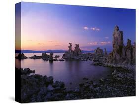 Mono Lake-Carli Choi-Stretched Canvas