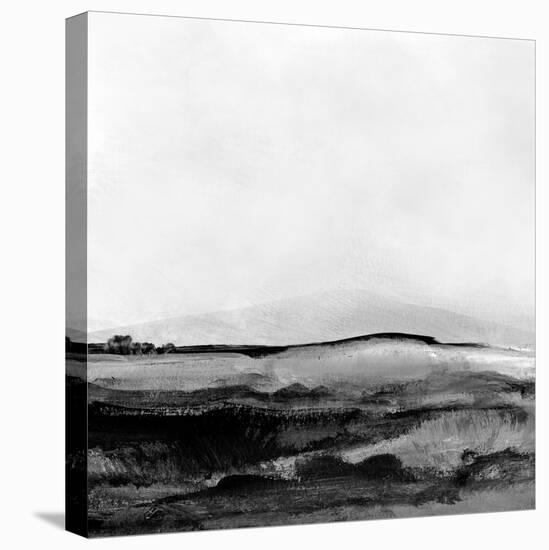 Mono Landscape No1-Dan Hobday-Stretched Canvas