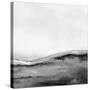 Mono Landscape No2-Dan Hobday-Stretched Canvas