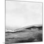 Mono Landscape No2-Dan Hobday-Mounted Giclee Print