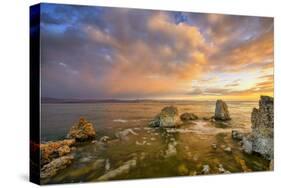 Mono Morning Mood, Mono Lake, California-Vincent James-Stretched Canvas