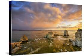 Mono Morning Mood, Mono Lake, California-Vincent James-Stretched Canvas