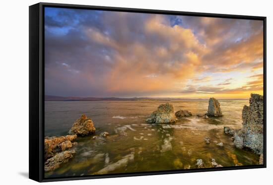 Mono Morning Mood, Mono Lake, California-Vincent James-Framed Stretched Canvas