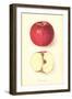 Monocacy Apple-null-Framed Art Print