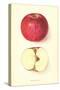 Monocacy Apple-null-Stretched Canvas