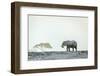 Monochromatic color-Jeffrey C. Sink-Framed Photographic Print