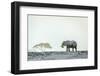 Monochromatic color-Jeffrey C. Sink-Framed Photographic Print