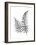 Monochromatic Ferns 1-Jace Grey-Framed Art Print