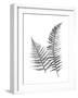 Monochromatic Ferns 1-Jace Grey-Framed Art Print