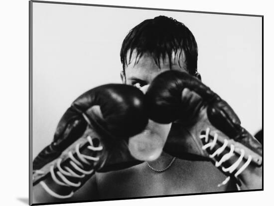 Monochromatic Image of a Boxer Drinking Water-null-Mounted Premium Photographic Print