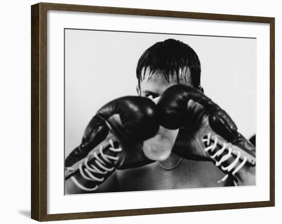 Monochromatic Image of a Boxer Drinking Water-null-Framed Photographic Print