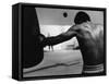 Monochromatic Image of a Boxer Working Out-null-Framed Stretched Canvas