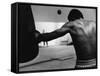 Monochromatic Image of a Boxer Working Out-null-Framed Stretched Canvas