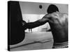 Monochromatic Image of a Boxer Working Out-null-Stretched Canvas