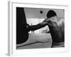 Monochromatic Image of a Boxer Working Out-null-Framed Photographic Print