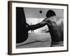 Monochromatic Image of a Boxer Working Out-null-Framed Photographic Print