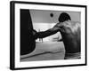 Monochromatic Image of a Boxer Working Out-null-Framed Photographic Print