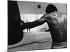 Monochromatic Image of a Boxer Working Out-null-Mounted Photographic Print